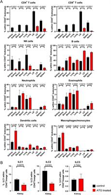 Impact of Organ Donor Pretreatment With Anti-Thymocyte Globulin in a Murine Model of Allogenic Kidney Transplantation